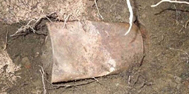 Bahçesindeki ağacın altında şans eseri buldu! Varilin içinden çıkanlar bir aileyi zengin etti, herkes şaşkın