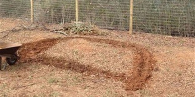 Bahçesinden sıkıldı ve...