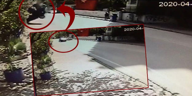 Bahçesine uçak düştü sandı! “Hayvan siyahtı, korkudan simsiyah oldu”