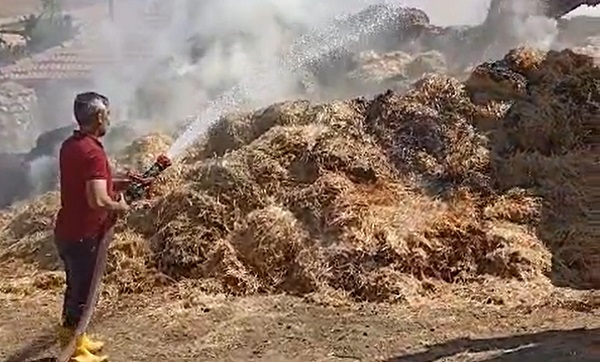 Bahçesini temizlemek istemişti!