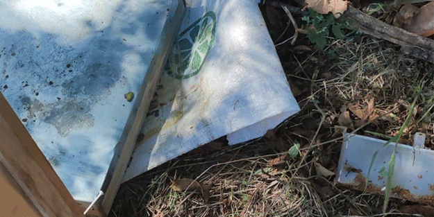 Bahçeye giren ayılar arı kovanlarına ve çevreye zarar verdi