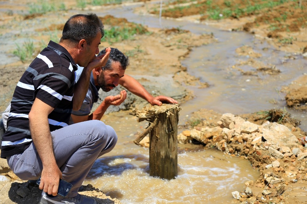 Bahçeye sondaj vurdurdu, doğal maden suyu çıktı 