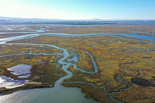Bair Adaları havadan görüntülendi