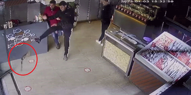 Bak sen atmacanın yaptığına! Balıkçıyı birbirine kattı