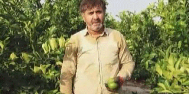 Bak sen şu uyanığa! Tüccarın teklifini duyan çiftçi şaşkına döndü