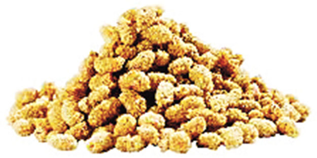 Bak şu minik nimetin faydalarına