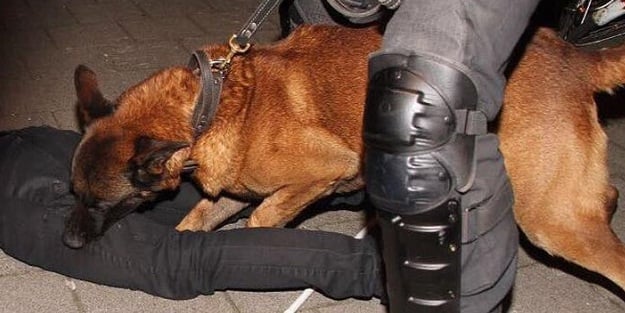 Bakan ayrıldı, Hollanda polisi köpekerle saldırdı!