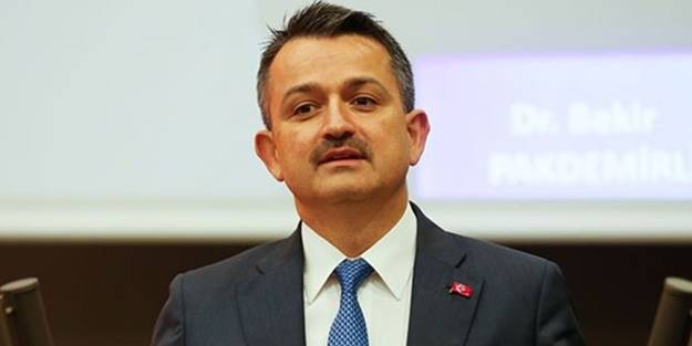 Bakan Bekir Pakdemirli duyurdu: O ödemeler bugün hesaplarda olacak!