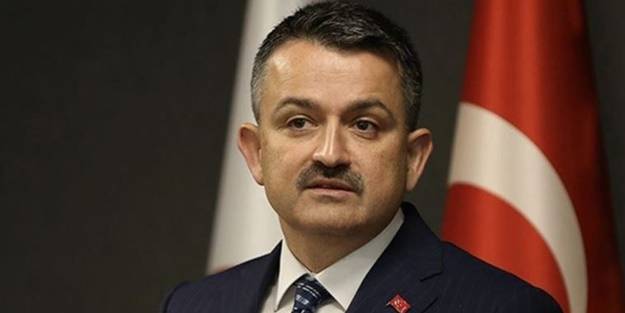 Bakan Bekir Pakdemirli duyurdu: Ödemeler hesaplara aktarıldı