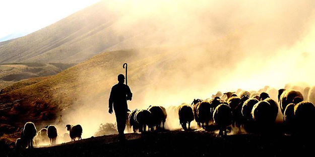 Bakan Bolat açıkladı: O ülkenin vatandaşları Türkiye'den giderse ne tarım ne de hayvancılık kalır