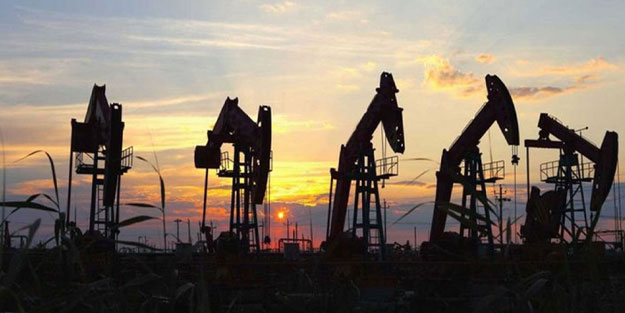 Bakan Dönmez'den Gabar petrolü müjdesi! Rakamı açıkladı