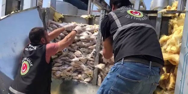 Tarihe geçen operasyonu Bakan Muş duyurdu!