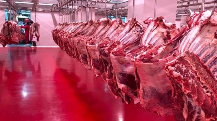 Bakan Fakıbaba: Kırmızı ette fiyat 35 liralara düştü