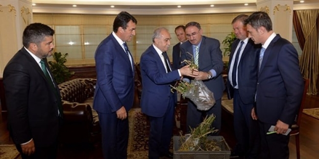 Bakan Fakıbaba'dan dolu mağdurlarına müjde!
