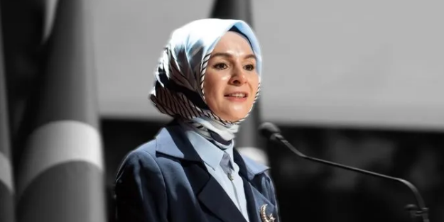 Bakan Göktaş'tan koruyucu aile açıklaması
