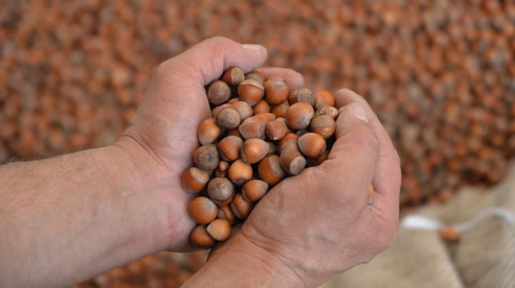 Bakan 'Halt etmişler' demişti!