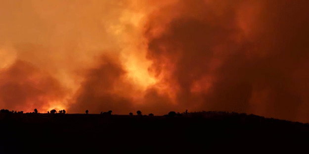 Bakan Koca son durumu aktardı! Diyarbakır'da üzen bilanço