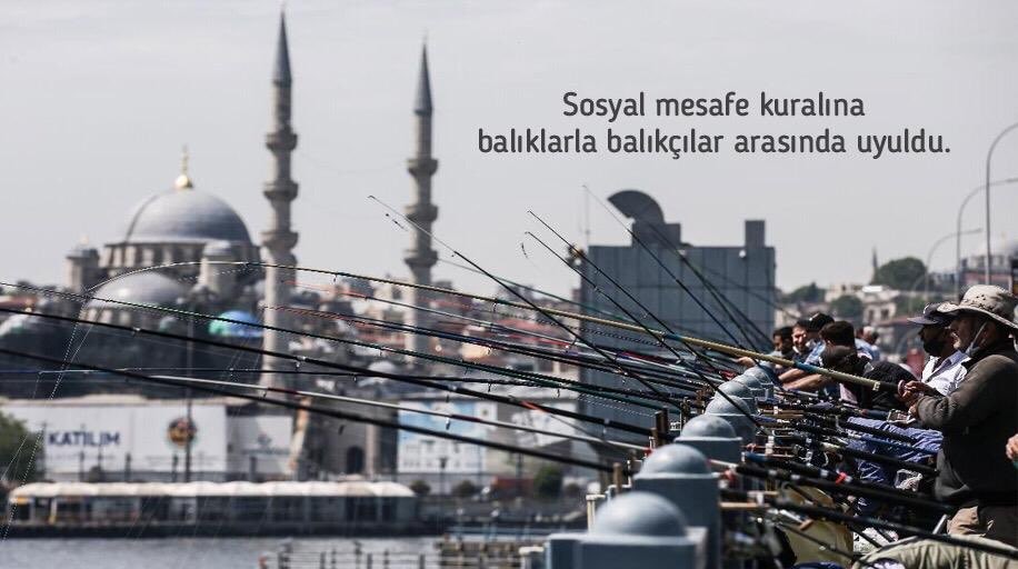 Bakan Koca’dan Galata Köprüsü’ndeki balıkçılara ‘Rast Gelmesin’ sitemi 