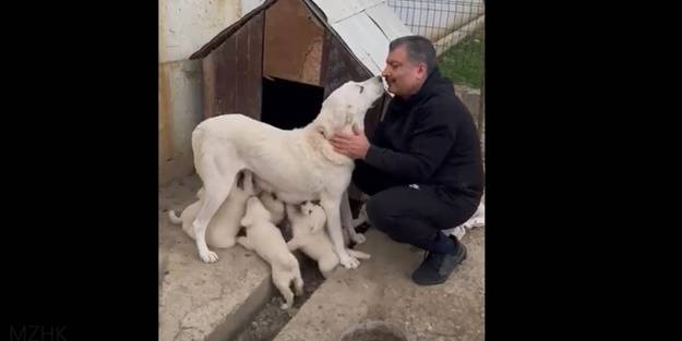 Bakan Koca'dan gülümseten paylaşım