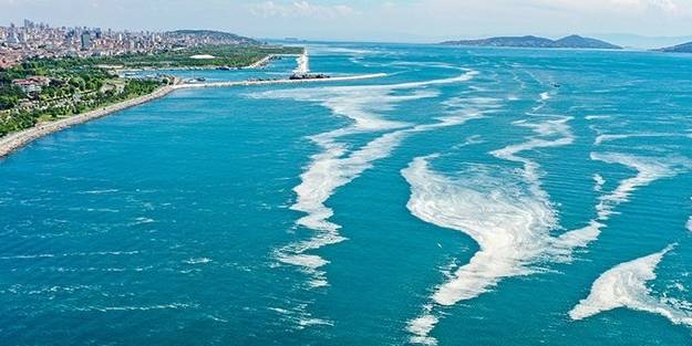 Bakan Kurum toplanan müsilaj miktarını açıkladı