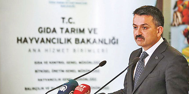 Bakan müjdeyi verdi! 41 ilde hayvancılığa yüzde 50 hibe desteği