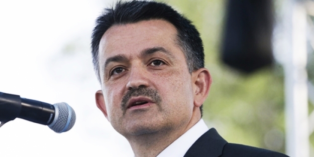 Bakan Pakdemirli: 2-3 yıl içinde kırmızı eti ihraç edecek duruma geleceğiz