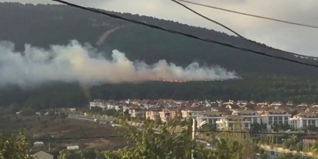 Bakan Pakdemirli duyurdu: Pendik'deki orman yangını terör bağlantılı