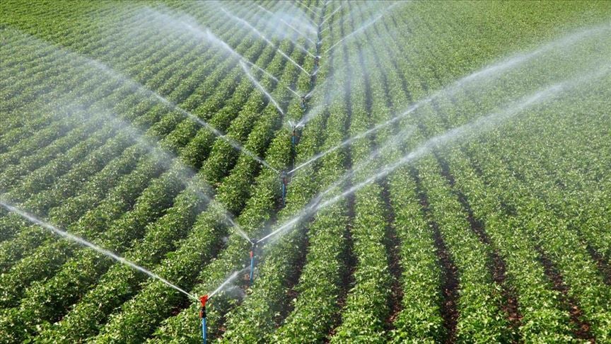 Bakan Pakdemirli: GAP'ın yüzde 53'ünün sulama şebekesi tamamlandı