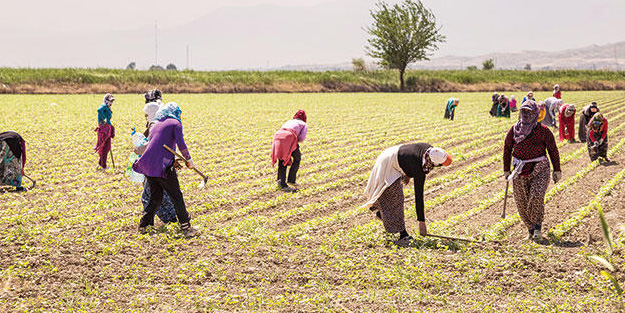 Bakan açıkladı! Ödemeler bugün başladı