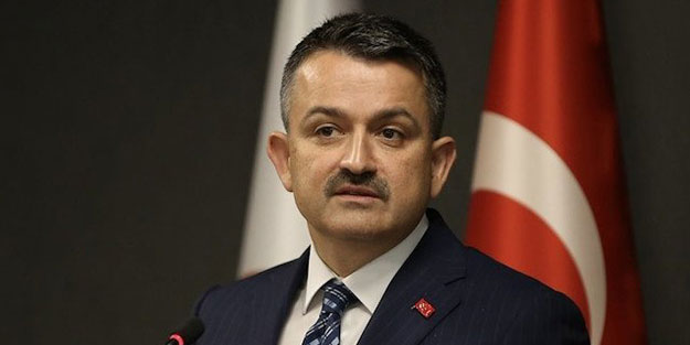 Bakan Pakdemirli: İstanbul'u yönetmek güven ister, vizyon ister