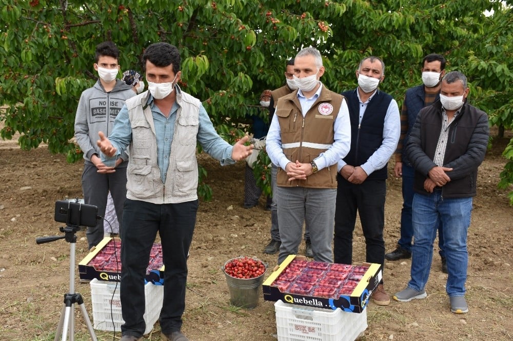 Bakan Pakdemirli kiraz üreticileri ile telekonferansta görüştü 