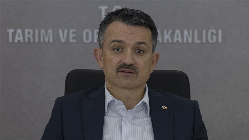 Bakan Pakdemirli: Kurban Bayramı öncesi 358 milyon 204 bin liralık destek bugün çiftçilerin hesaplarına yatırılacak