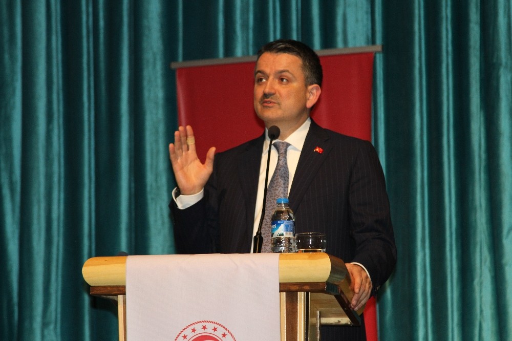 Bakan Pakdemirli: Patates üretiminin yasaklandığına dair çıkan haberler asılsızdır