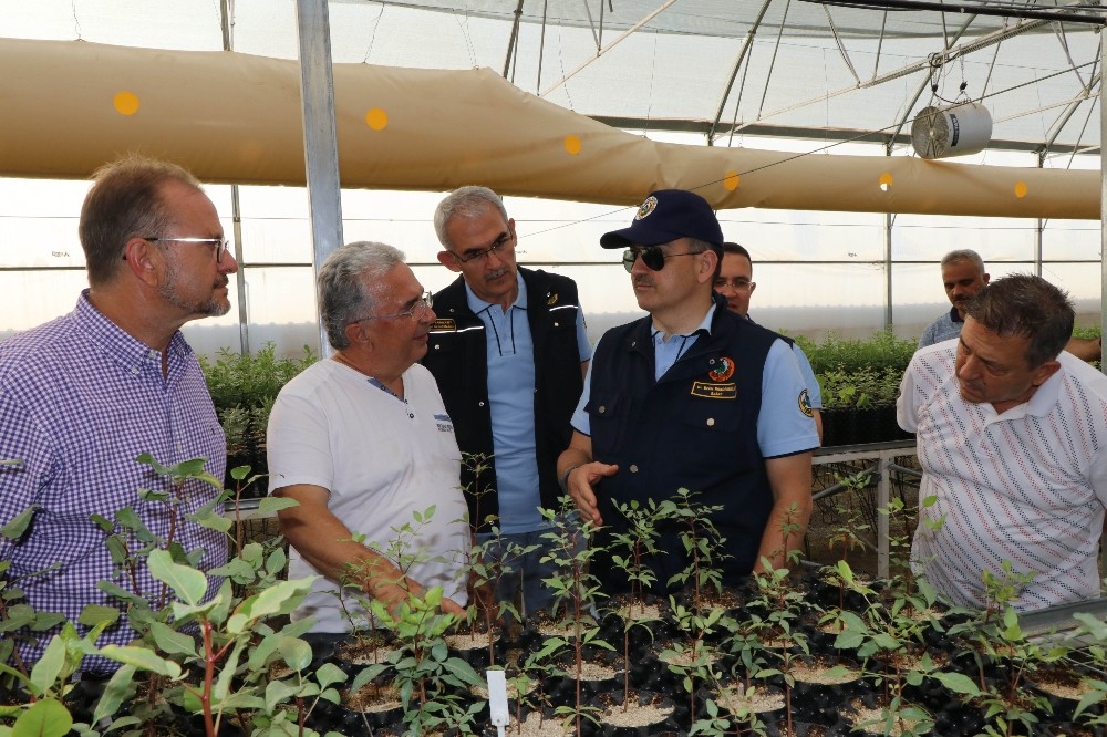 Bakan Pakdemirli’den lavanta hasadı 