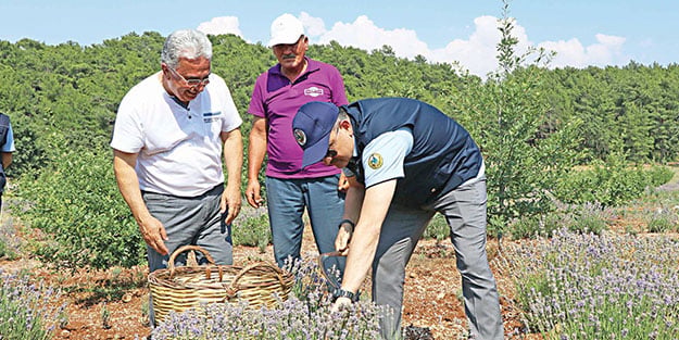 Bakan Pakdemirli’den lavanta üreticilerine destek