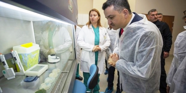 Bakan uyardı: O gıdalardan uzak durun!