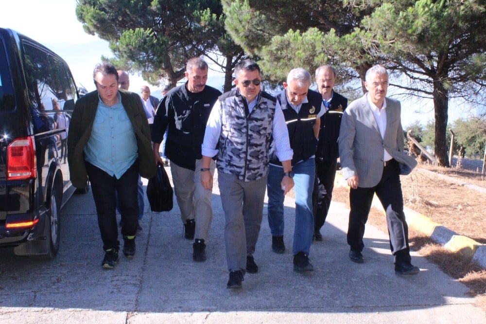 Bakan Pakdemirli’den yangınlar hakkında son bilgi 