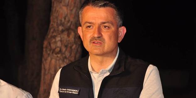 Bakan Pakdemirli'den yangınlarla ilgili açıklama: 2 işçi uçurumdan yuvarlandı