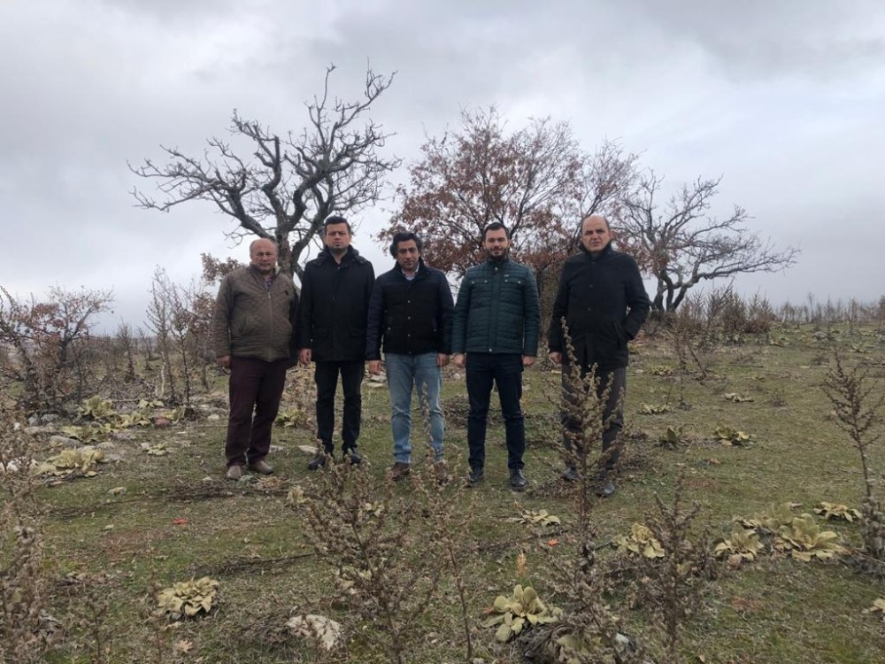 Bakan Pekcan müjdeyi vermişti, 34 firma başvuru yaptı 