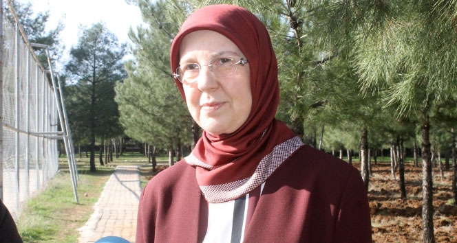 Bakan Ramazanoğlu: Şahsım hedef gösterilerek büyük bir linç kampanyası yürütüldü