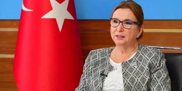 Bakan Ruhsar Pekcan açıkladı: Desteklemeye devam edeceğiz