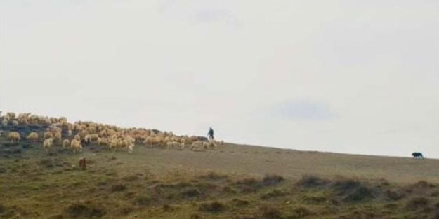 Bakan Selçuk, paylaştığı çoban fotoğrafıyla mesaj verdi