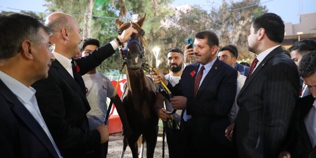 Bakan Soylu'ya sevgi seli! Sürpriz hediye