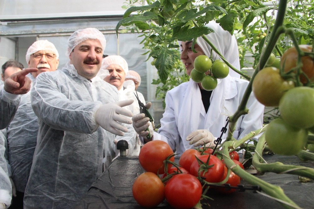 Bakan Varank: “Akıllı dijital teknolojileri geliştiren KOBİ‘lere, uygulama ve ticarileşme desteği vereceğiz“ 