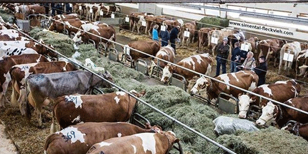 Bakan yeni uygulamayı açıkladı! Bundan sonra sadece devlet yapabilecek