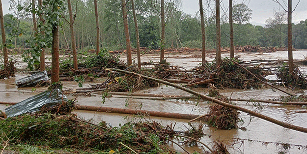 Kırklareli'ndeki selde bungalov evlerin olduğu ormanlık bölgeden acı haber!