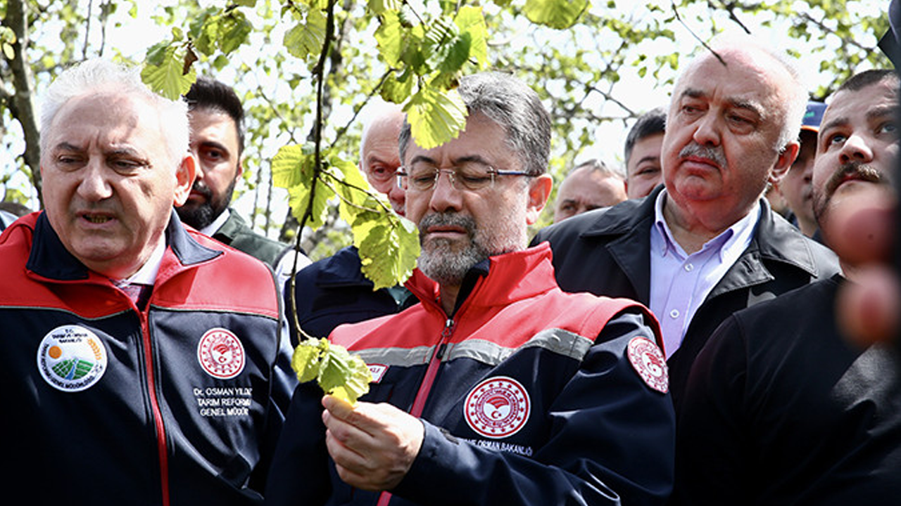 Bakan Yumaklı açıkladı! Zirai don sonrası gıda arzında sorun mu var?