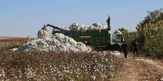 Bakan Yumaklı çiftçilere müjdeyi verdi