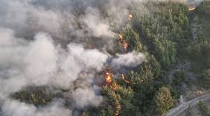 Bakan Yumaklı güzel haberi duyurdu!
