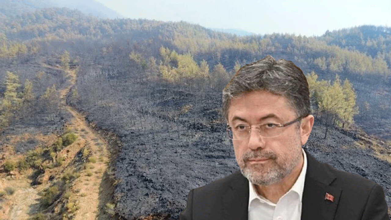 Bakan Yumaklı iyi haberi verdi: Yangınlar kontrol altında